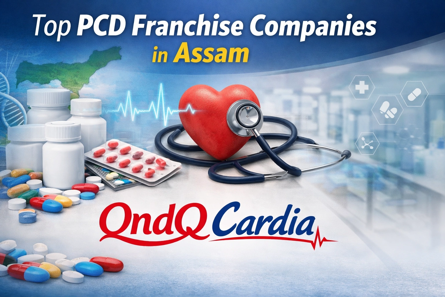 PCD Franchise Companies in Assam