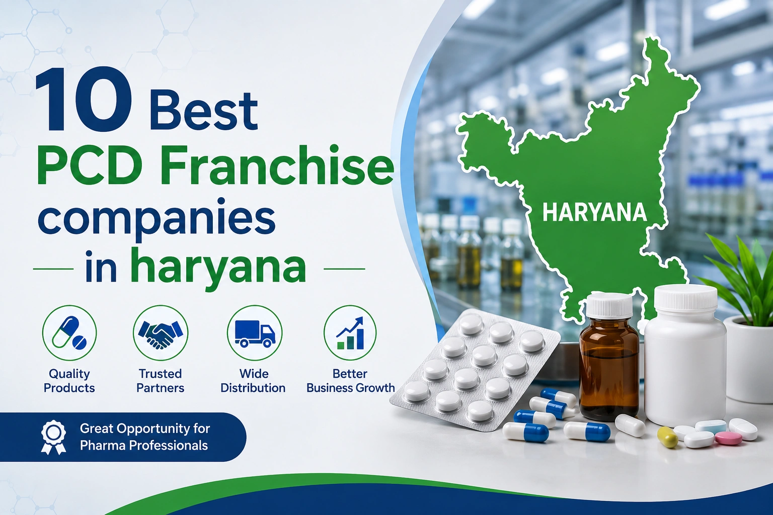 10 Best PCD Franchise Companies in Haryana