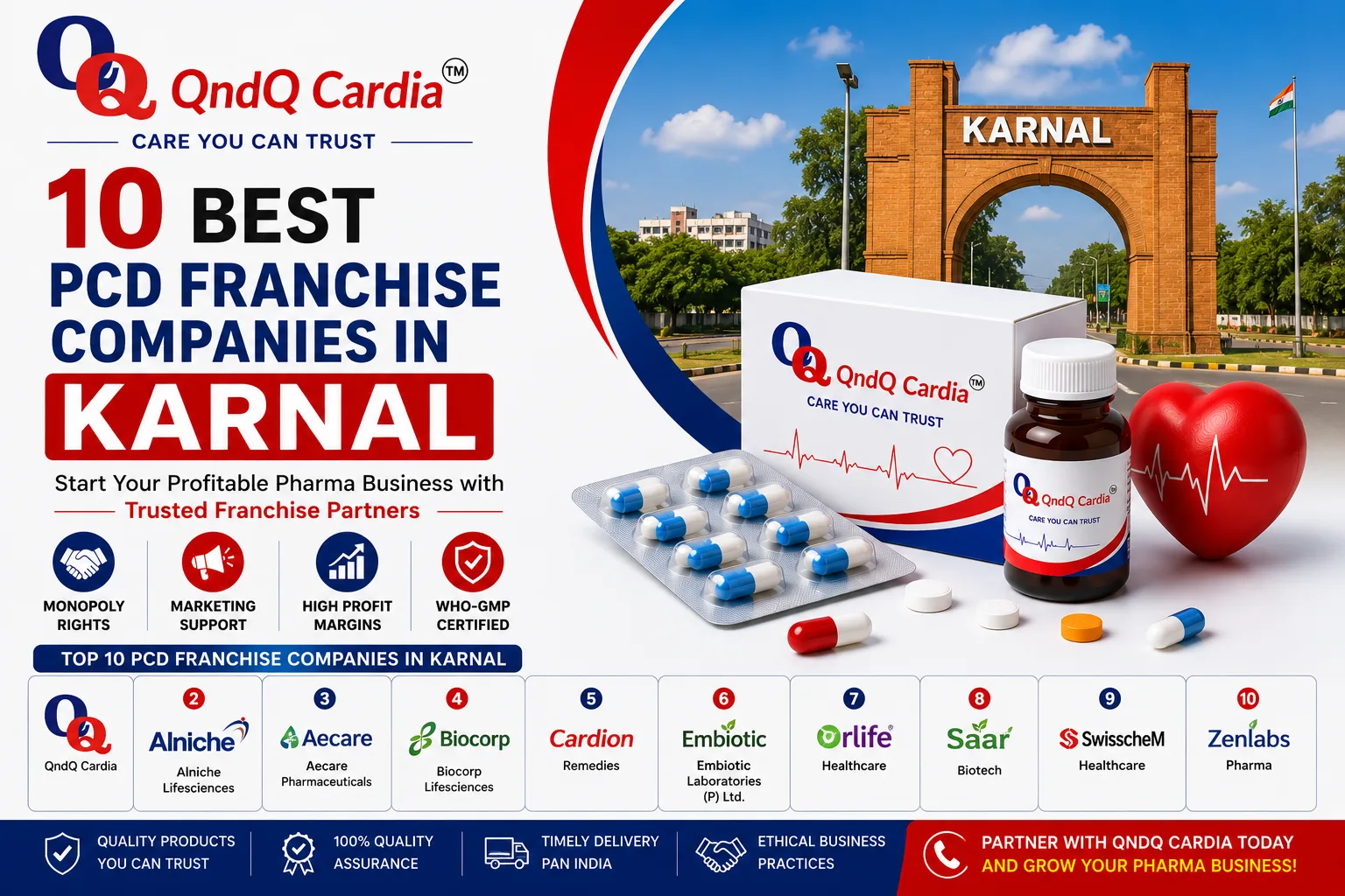 10 Best PCD Franchise Companies in Karnal 