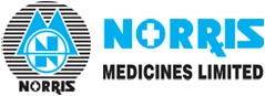 norris logo norris logo