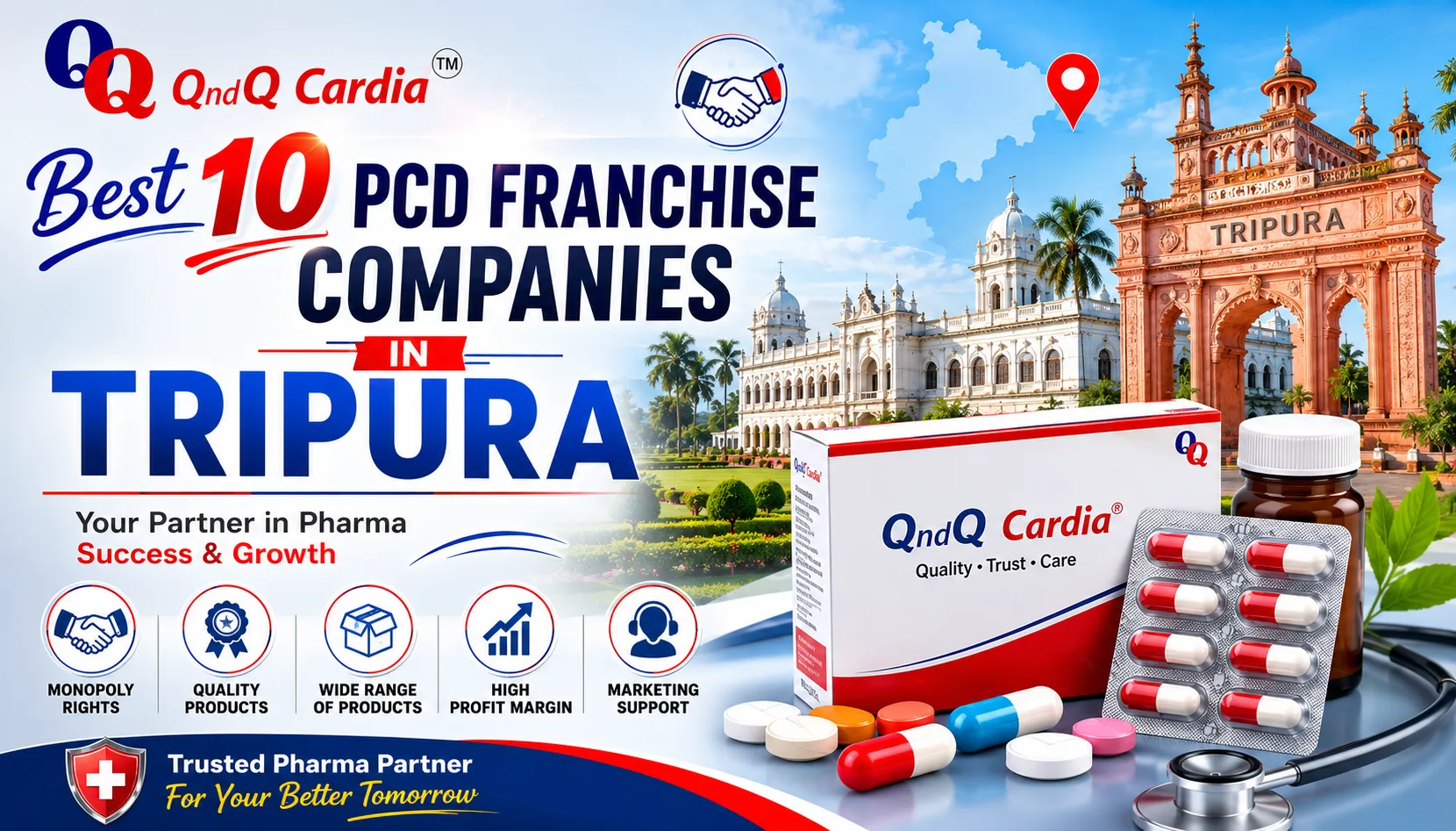 Best 10 PCD Franchise Companies in Tripura