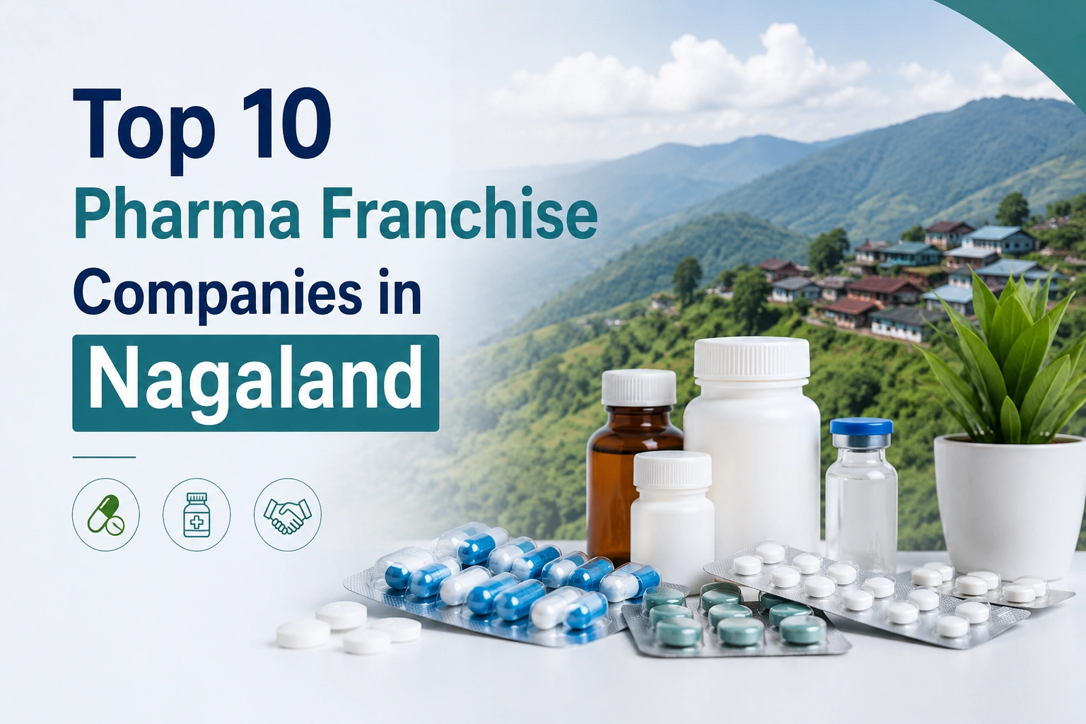 Top 10 Pharma Franchise Companies in Nagaland